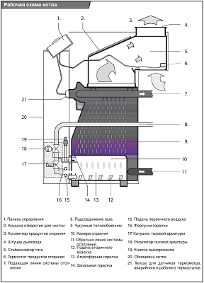 Напольный газовый котел отопления Protherm Медведь 40 TLO